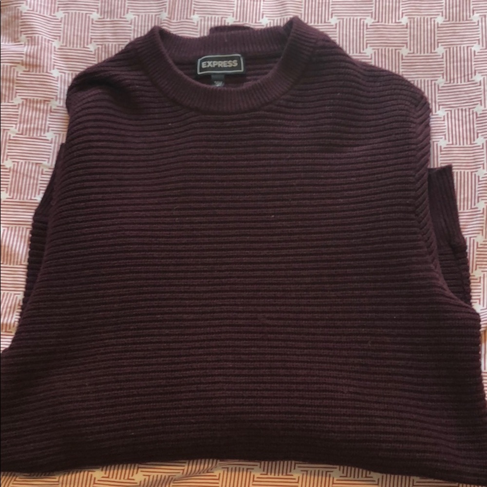 Express sweater